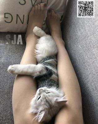 91成人在线_BD英语超清在线观看